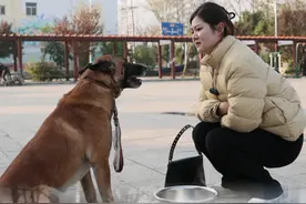 被后妈赶出去的狗狗 每个孩子都希望有一个温暖的家庭，狗狗也不例外。亮仔不在家马户和奶奶被后妈欺负，还好亮仔及时赶回家做出了正确的选择。#萌宠出道计划 #神奇动物在抖音#动物的迷惑行为 #忠犬马户