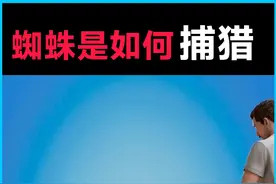 蜘蛛捕食全过程，被它吃掉究竟有多恐怖？ 