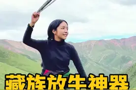 藏族姑娘1个人放上百头牦牛，都需要“乌尔朵”，看着简单吗？ ##牧区生活 #放牧快乐 #西藏 #藏族视频封面
