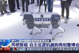 听指令、能组队、精准追踪，这款有“脑子”的机器“警犬”开始巡逻了视频封面