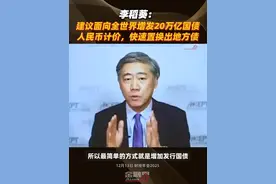 李稻葵：建议面向全世界增发20万亿人民币计价国债，快速置换出地方债视频封面