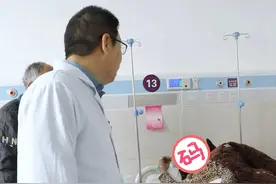 患者尿道感染，主任细心讲解病情危害！ #尿道感染 #查房日常 #女性健康 #硬核健康科普行动视频封面