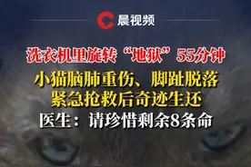 小猫误入洗衣机“洗涤”55分钟，致脑肺重伤、脚趾脱落，后奇迹生还#小猫 #宠物 #小猫误入洗衣机