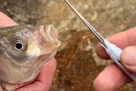 鱼钩卡太深徒手不好取？疯狂钓鱼人自制取钩神器，制作简单又好用