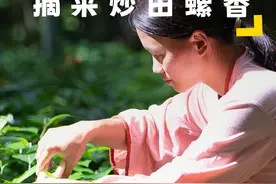 这种野菜有一种独特的香味，很多农村人以前都吃过，摘回去炒田螺 #抖音美好食光#乡村生活家#新农人计划2024视频封面