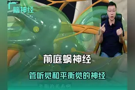 前庭蜗神经：管听觉和平衡觉的神经 #解剖学 #医学生 #前庭训练