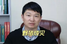 律师解读野猪伤人事件 #野猪已经不再是国家保护野生动物视频封面