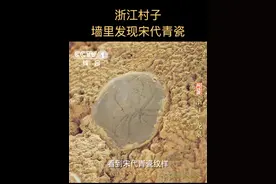 【浙江村子墙里发现宋代青瓷】 浙江龙泉的窑依山而建，因窑炉形似一条龙，被称为“龙窑”。南宋至明代中期，龙泉已成为全国最大的制瓷中心，仅小梅镇的大窑村，就有五六十座窑址。如今，村落土墙上还保留着古窑场遗留的青瓷碎片，这些瓷片被当作建筑材料嵌入墙体，使土质墙体变得极为坚固。在一些瓷片上，还能看到宋代青瓷纹样。#文脉春秋视频封面