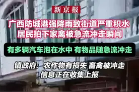 广西防城港强降雨致街道严重积水 那梭镇居民拍下家禽被急流冲走瞬间视频封面