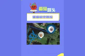 猫猫就是这么可爱的生物！！！#猫咪 #宠物GPS #可爱到爆炸💥 #拧巴的爱