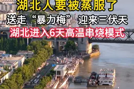 7月15日，湖北正式出梅，同时入伏。入伏首日，荆楚大地仅8个县市区高温在35℃以上，高温气势略显不足。入伏首日凉快，可接下来的16日至21日，连续6天，湖北大部分地区晴热高温，最高气温34℃-38℃、局地39℃-40℃；西部地区局地有阵雨或雷阵雨，同时将伴有短时强降水和雷暴大风等强对流天气。#武汉天气 #武汉长江大桥 #旅行vlog #内容启发搜索视频封面