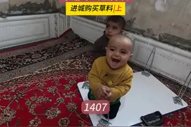 在游乐场快乐玩耍，进城买草料，米娜纪录片1407集（上） #米娜视频封面