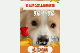 好有粪围感的求婚啊！#万万没想到 #搞笑 #求婚 #情侣 #迷惑行为大赏视频封面