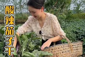 田里吃不完的茄子，做成酸辣茄子干，坛香浓郁，香辣下饭，吃一年都不会坏。#农村美食 #我的乡村生活视频封面