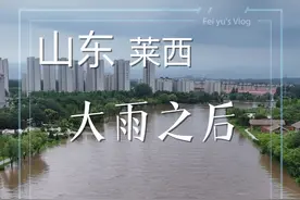 大雨过后的莱西街头，大家一定要减速慢行不行就绕啊，今天好多人捡到了车牌，大街上还能抓鱼抓小龙虾，太魔幻了！#大雨视频封面
