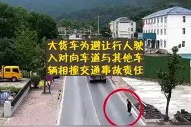 大货车为避让行人驶入对向车道与其他车辆相撞交通事故责任 #汽车视频封面