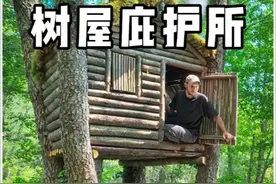男人在大树上搭建出精致的木屋#荒野建造 #野外搭建 #解压