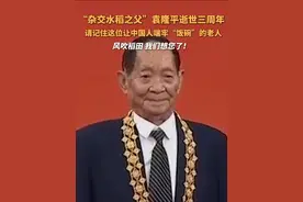 “杂交水稻之父”袁隆平逝世三周年，请记住这位让中国人端牢“饭碗”的老人#杂交水稻之父袁隆平 #袁隆平逝世三周年