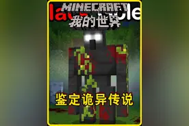 我的世界：老哥鉴定那些不为人知的MC诡异传说，第6集 #我的世界视频封面