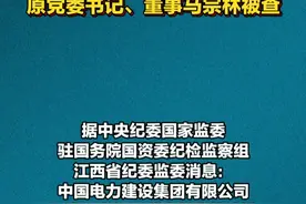中国电力建设集团有限公司原党委书记、董事马宗林被查视频封面