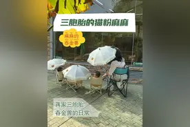 三壮士动物园一日游，看超人妈妈如何一挑三！ #人类幼崽 #陪你长大陪你看世界 #日常遛娃系列 #出门遛娃 #长沙大熊猫青青大美视频封面