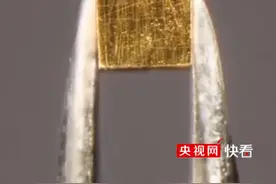 引入纳米孔洞！《科学》在线发表我国科学家金属材料轻量化成果视频封面