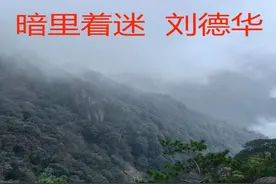 歌词写得真好，禁忌的爱，情感的滋生与隐忍，很喜欢这种矛盾感