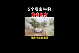 吡虫啉杀虫虽好，但通常只做配药，分享5个好配方！！#抖音来学农技 #农业种植 #农业种植技术 