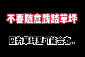 现在知道为什么不能踩踏草坪了#我的世界 #墨勋 #我的世界模组