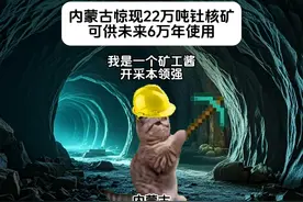 内蒙古惊现22万吨钍核矿，预计可供未来6万年使用 #猫meme视频封面