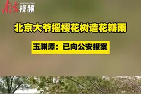 #北京一游客为拍照狂摇樱花树 ，玉渊潭：已报警视频封面