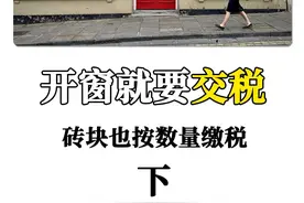 这国家开窗也得交税，砖块也按数量缴税 #瓜子二手车