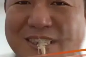 近日，四川，实探蟑螂养殖基地，记者吃了一只活的：核桃味、双皮奶口感。厂长：此蟑螂非彼“蟑螂”（来源：封面新闻）#蟑螂 @抖音短视频