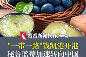 "一带一路"项目钱凯港开港  助推秘鲁农产品20天到亚洲 #一带一路 #秘鲁 #蓝莓 #钱凯港