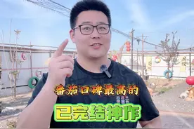 今天这十本书，绝对能代表番茄的最高水平，异兽迷城也只能排第二视频封面
