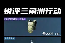 锐评【三角洲】逆天物价！一个四级甲能卖200万？ #三角洲行动