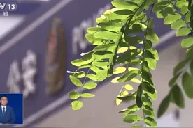 留学生家庭看过来：深度揭秘虚拟绑架类骗局#刑侦利剑守护平安视频封面