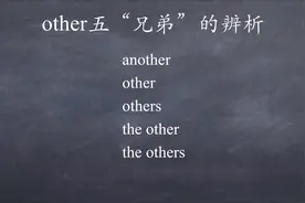 other, another, the other, others的用法辨析 #词汇辨析视频封面