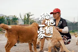 收养三百多只流浪狗，只为不辜负这仅有一次的生命视频封面