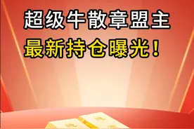 超级牛散章盟主，最新持仓曝光！ #财经 #投资 #股票 #章盟主 #牛市视频封面