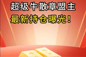 超级牛散章盟主，最新持仓曝光！ #财经 #投资 #股票 #章盟主 #牛市视频封面