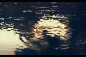 物理是什么#萌知计划  #物理 #科学 #哲学视频封面