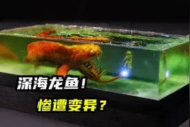 模型制作：生活在一千米以下的海底深海龙鱼，惨遭变异？#故事视频封面