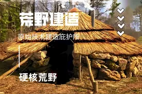 荒野建造：原始技术快速构建庇护所实战秘籍 #荒野建造 #野外建造视频封面
