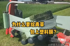 为什么要给青草包上塑料膜？这是在制作青贮饲料。 #科普  #解压  #青贮饲料  #冷知识 #抖音知识年终大赏视频封面