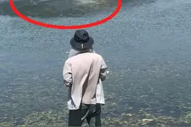 男子钓鱼看到水面大漩涡快速冲向他，吓得收了鱼竿赶紧往岸上跑。#钓鱼 #钓鱼人 #奇景视频封面