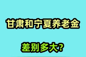 2024年甘肃和宁夏养老金计算，档次60%，养老金分别有多少视频封面