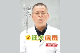 舔一下！轻抓痕！需要打狂犬疫苗吗？ 不是出血才危险！这些“看起来没事”的情况，其实最该打狂犬病疫苗！（央视频号：#央视财经中国好医生  ）