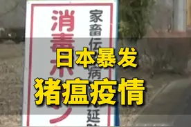 #日本栃木县1100头生猪被扑杀  #日本暴发猪瘟疫情视频封面