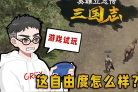 这是...在三国里玩角色扮演？【英雄立志传·三国志试玩】 #三国视频封面